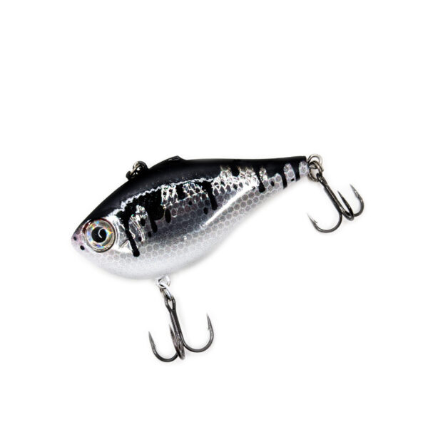 Clear Lake Special Custom Rapala Rippin' Rap