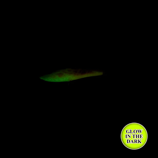 Sunny-D Custom Rapala Glow Jigging Rap