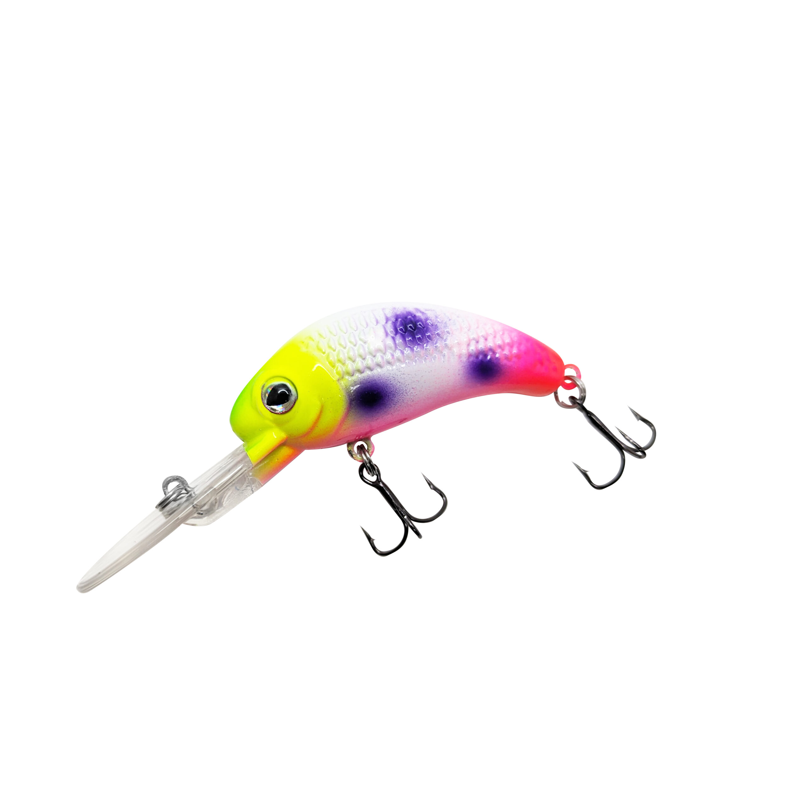Fruit Loop Custom WNC Boogie Shad