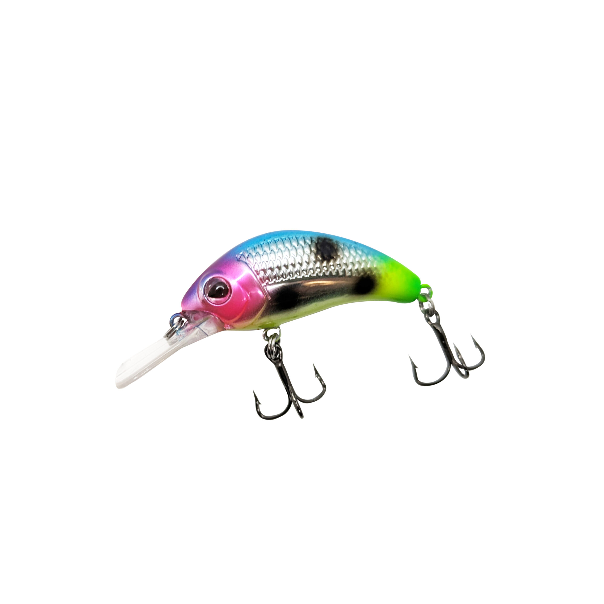 Fruit Salad Custom WNC Boogie Shad