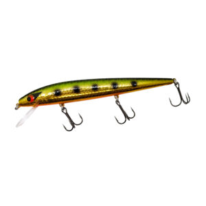 Space Cadet Custom Smithwick Perfect 10 Rogue