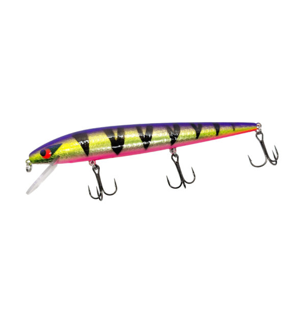 Purple Perch Custom Smithwick Perfect 10 Rogue