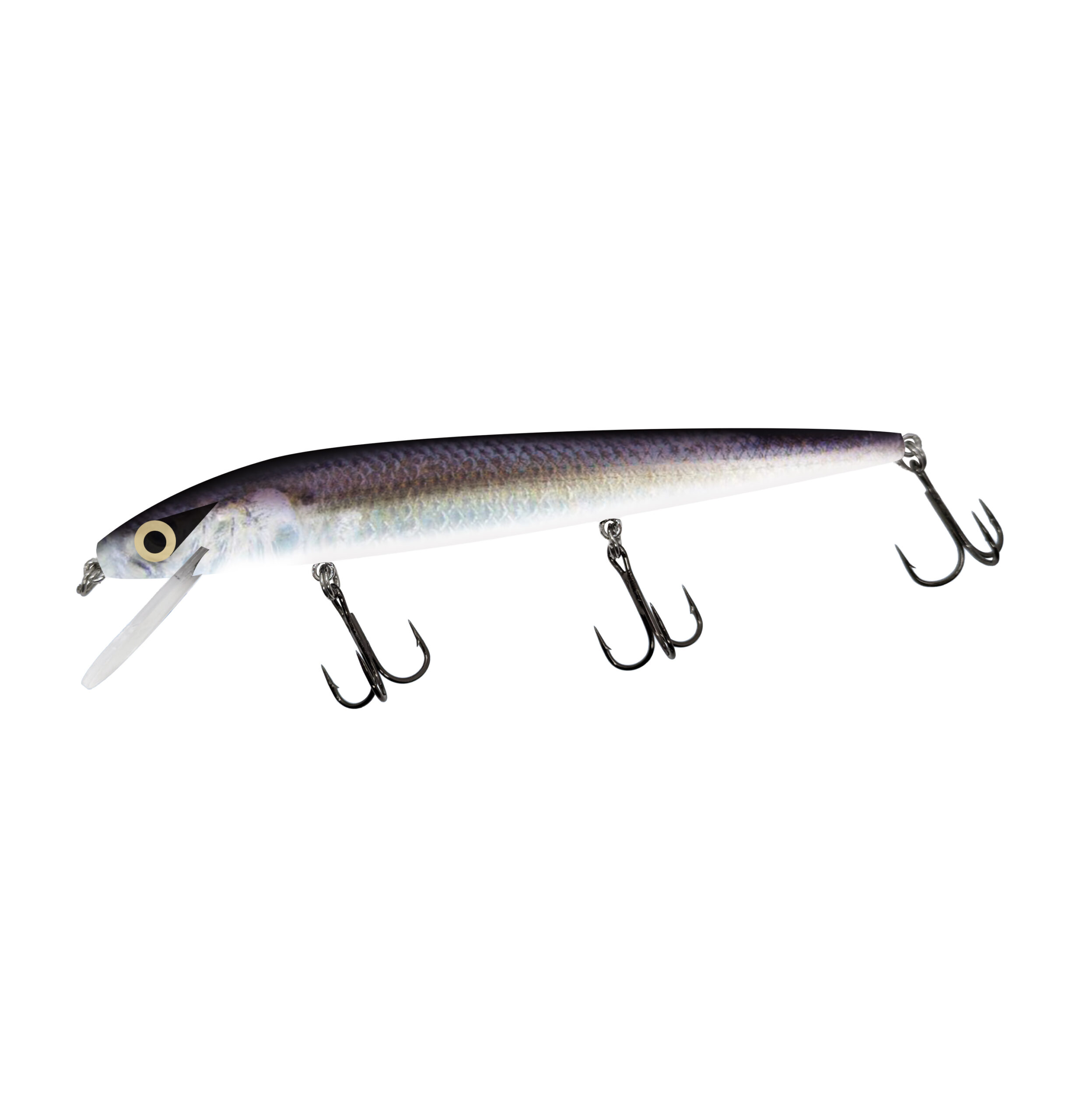 Alewife Custom Smithwick Perfect 10 Rogue